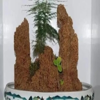 怎么样制作山水石盆景?