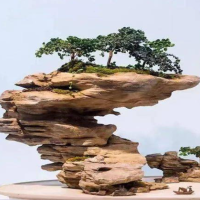 山石盆景怎么样造型好看？最好看的山石盆景植物