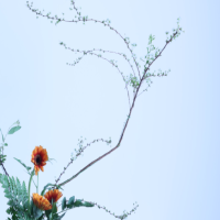 插花的五个步骤是什么？现场插花的五种技巧？