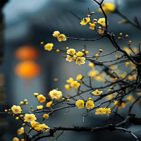 梅花盆深度多深合适?多久浇一次水合适冬天?